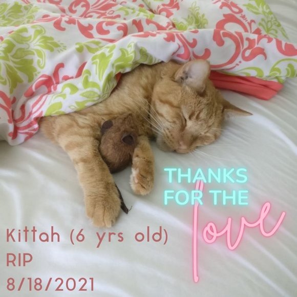 Welcome PFF's! Love One Another! - Picture 2 of 11